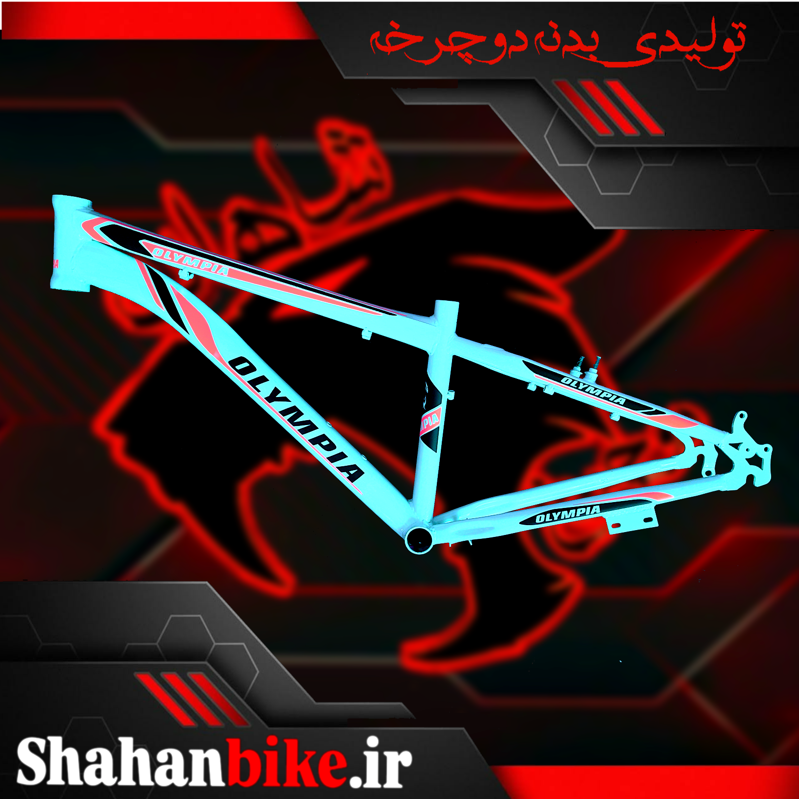 بدنه دوچرخه ۲۴ (بدون مارک)